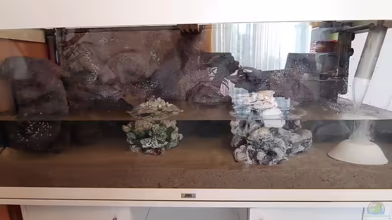 erstes Befüllen von Shayla (2)