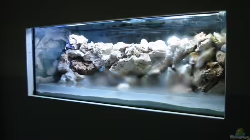 erstes Befüllen von Timo Tschöpel (2)