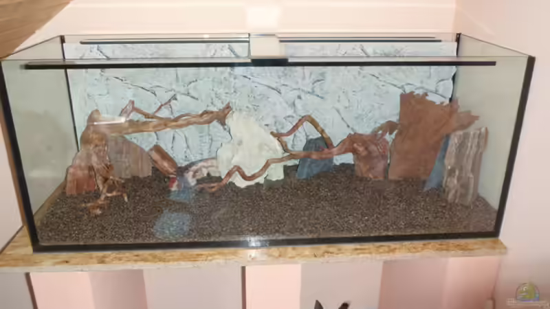 erstes Einrichten ohne Wasser von LouFe (4)