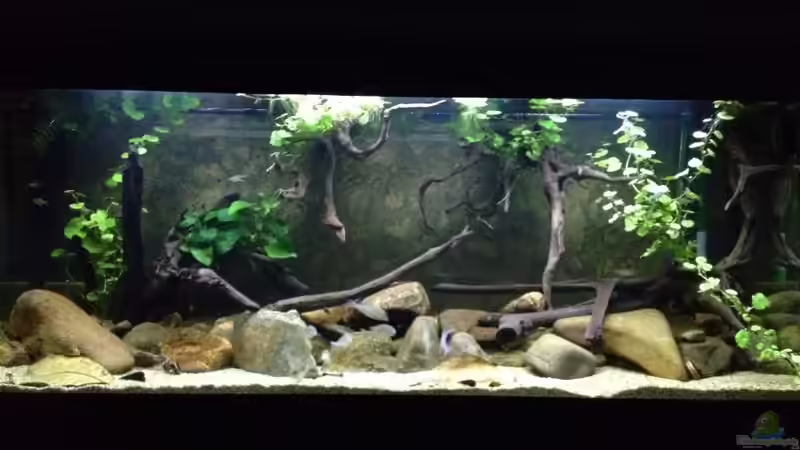 erstes Foto mit LED  von Thomas S-H (5)