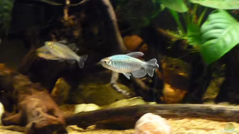 erstes Fotoshooting *22.05.2013* von lützkopf (45)