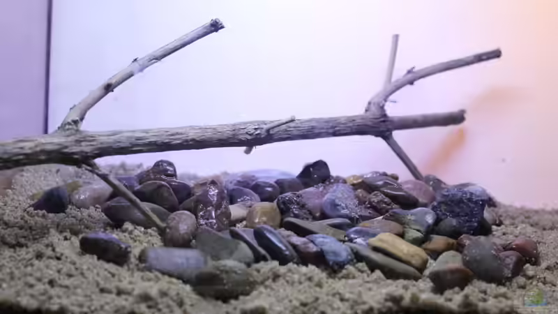 erstes geröll setzen von Falk (7)