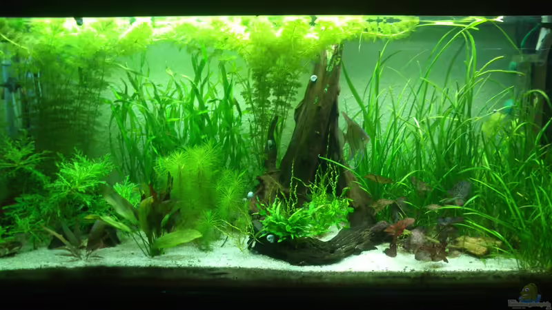 Erstes Hauptbild von Fuujida (5)