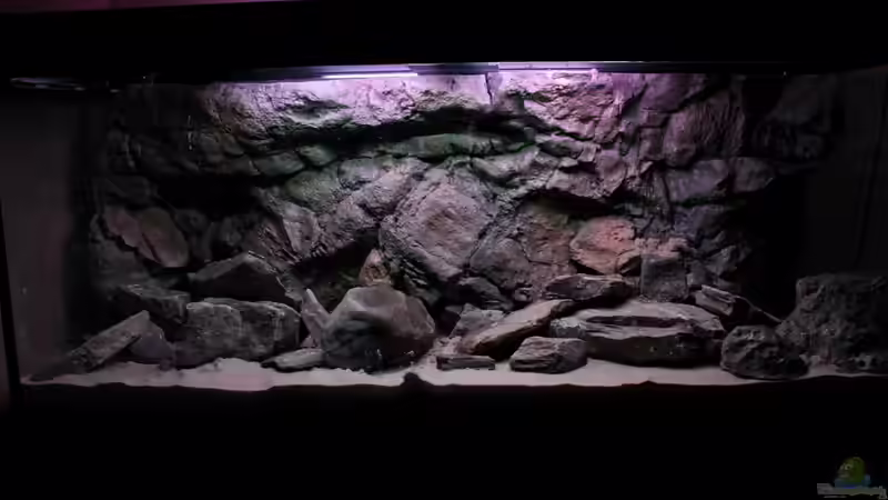 Erstes Layout ohne Module von Koehler (3)