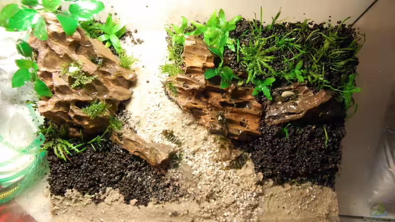 Erstes Layout von oben von Michael Seraph (5)