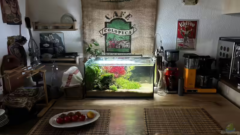 Erstes Layout von Thilo (6)