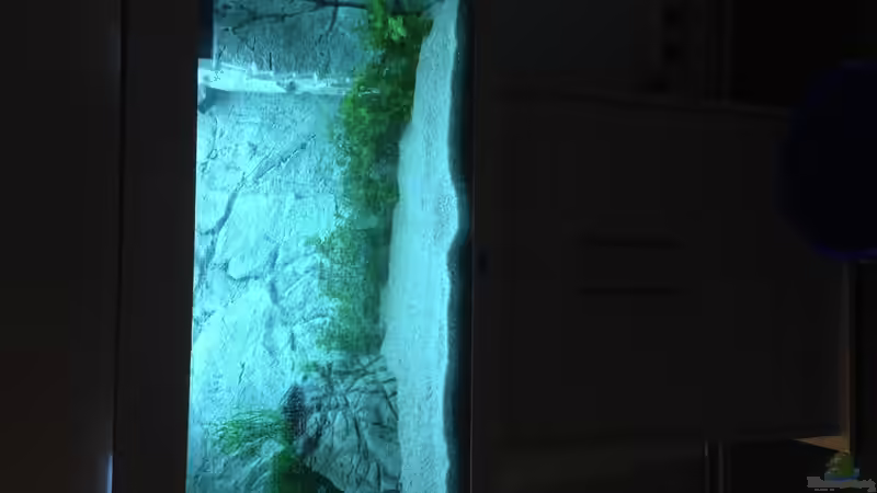 Erstes Wasser eingelassen von Zatoichi (2)