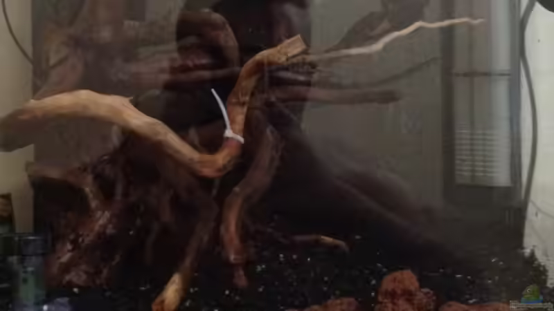 erstges layout am 03.08.2012 von Walde (5)