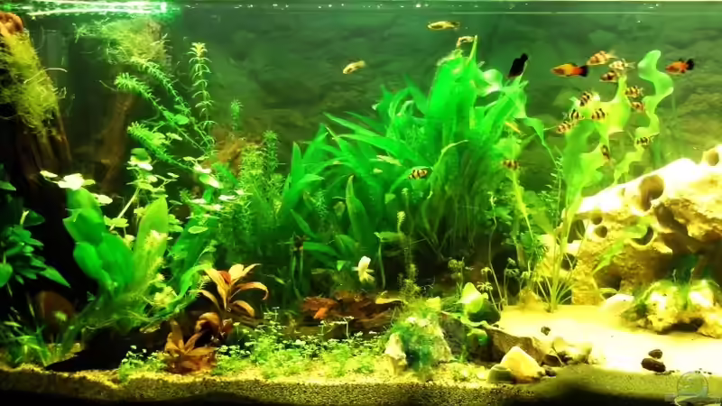 Erstmal alles erkunden von Babsi Aud (36)