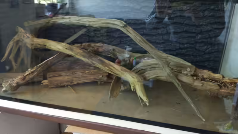 erstmal alles in der Theorie anordnen wie es aussehen soll von Tiburón (36)