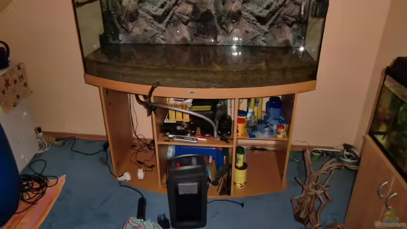 erstmal alles raus von EcoSyS (2)