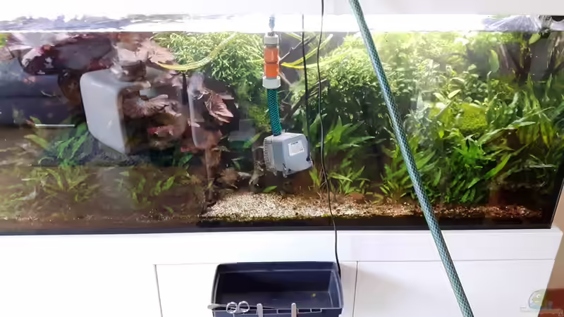 Erstmal zum arbeiten ein bisschen Wasser raus von Der Nicky (68)