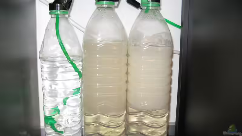 Erweiterte CO2-Anlage (18.1.2013) von NicoleZH (21)