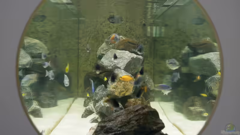 Erweiterung Steinaufbau, Seite von Ralf Bauer (6)