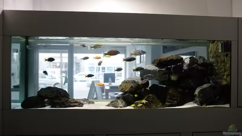 Erweiterung Steinaufbau von Ralf Bauer (4)