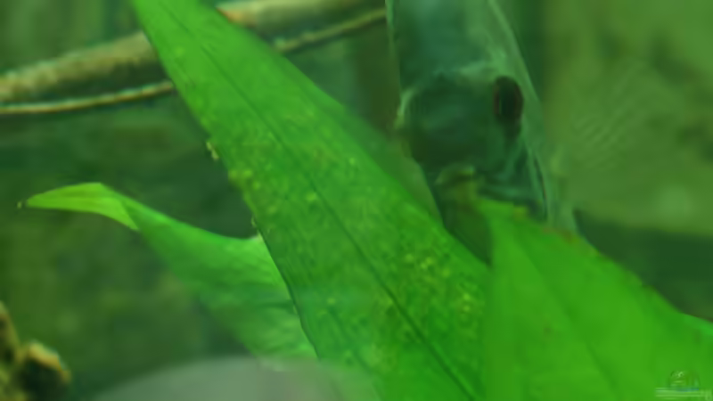 erwischt... von kellerkind (29)