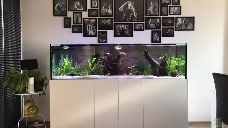 es fehlt nur noch die Abdeckung von stroelly (6)