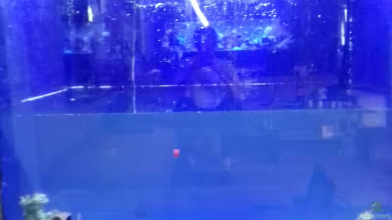 Es fühlt sich langsam  von Toshi (2)