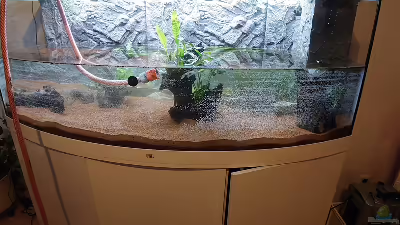 Es füllt sich von Stefan von Oettingen (6)