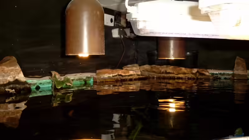 es geht auch mit weniger Beleuchtung von Martin Fabick (10)