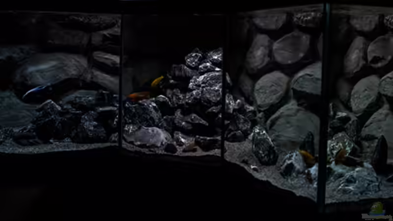 es geht immer weiter in Richtung Natürlichkeit...  von AjakAndi (12)