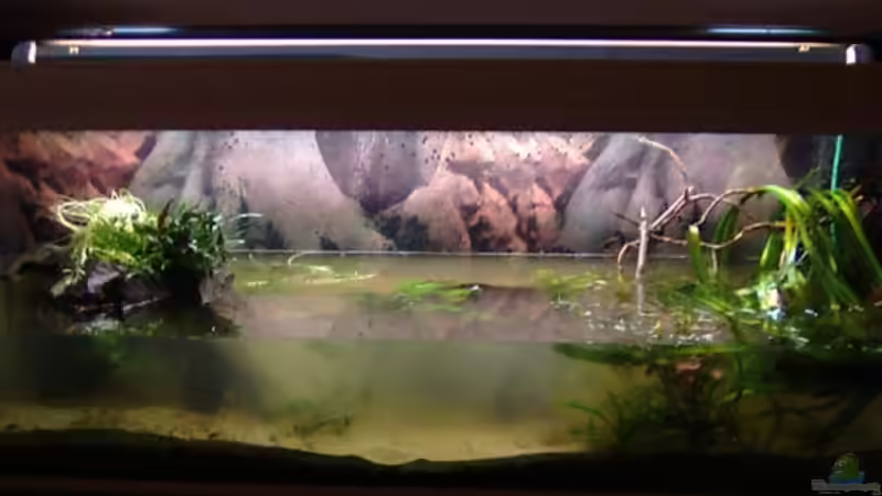 es geht los :) von Mario74 (3)