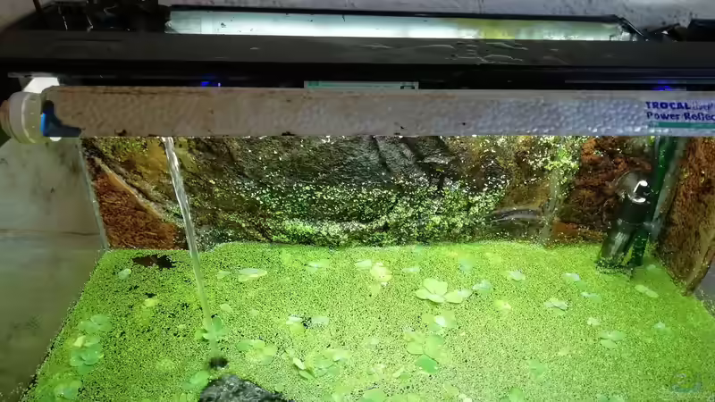 es geht los  von - Stephen - (4)