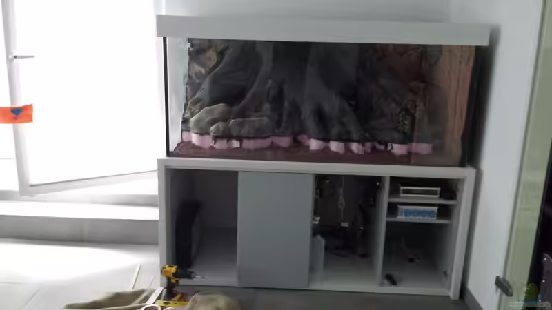 Es geht voran! von tripledad (2)