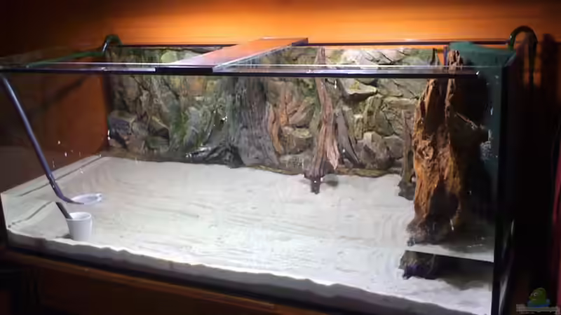 Es ist da von Solitary (3)