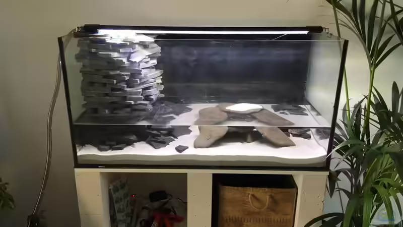 Es ist dicht! von stroelly (4)