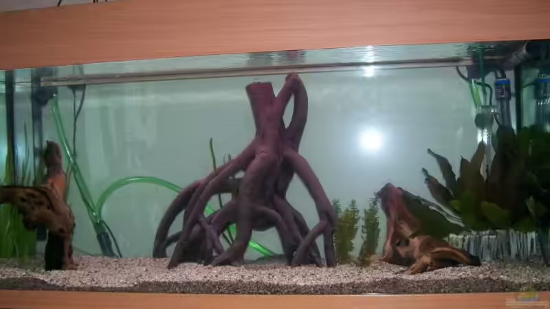 es ist Vollbracht das Wasser ist drin von Theo Heimann (4)