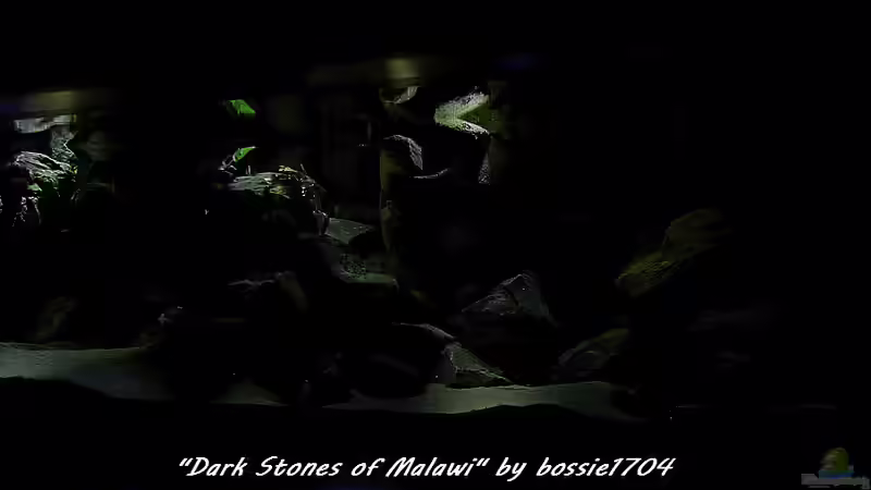 Es klärt wieder auf... von bossie1704 (20)