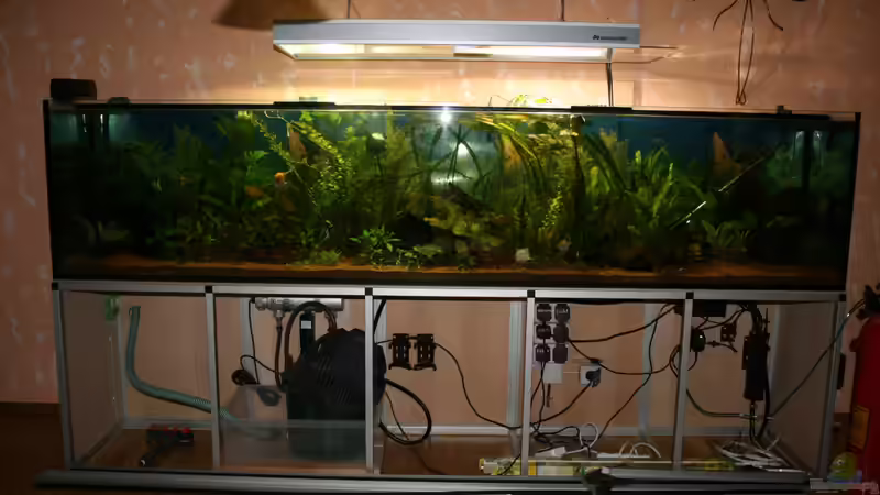 Es kommt später noch eine Schiebetür vor den Schrank von Hollyday (2)