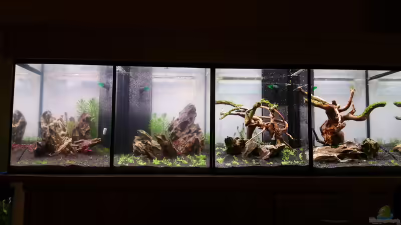 es läuft  von Lucky3310 (5)