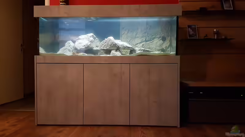 Es läuft ein von Charmin (5)