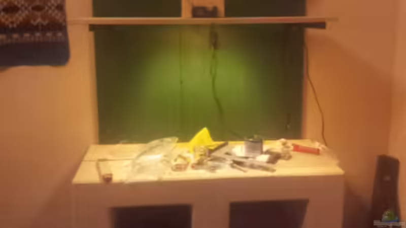 es nimmt Gestalt an..... von Judith P. (4)