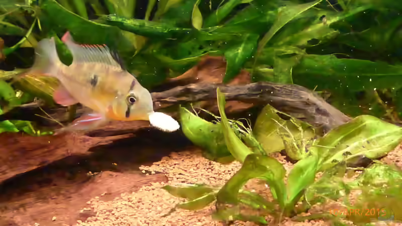 es schmeckt von Blackwater (39)