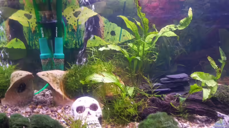 Es sind schon Leute beim sauber machen ertrunken ;) von Snawatz (18)