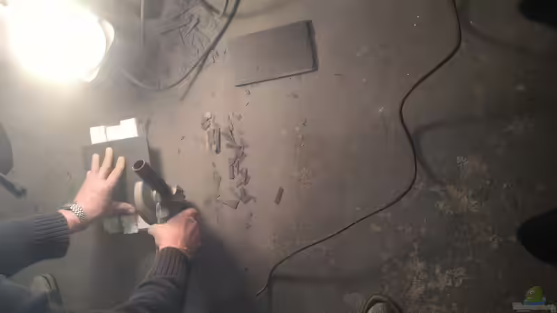 Es staubt von Nelle (5)