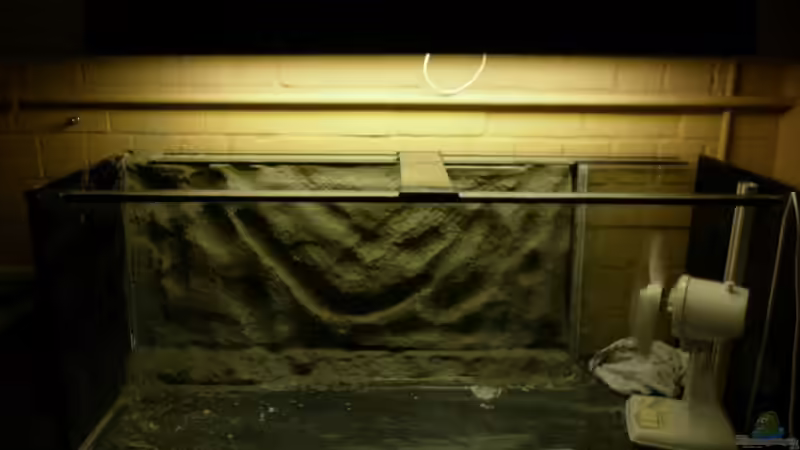 Es trocknet... keine Angst! Der Ventilator kommt noch raus :-D von Julien Preuß (28)