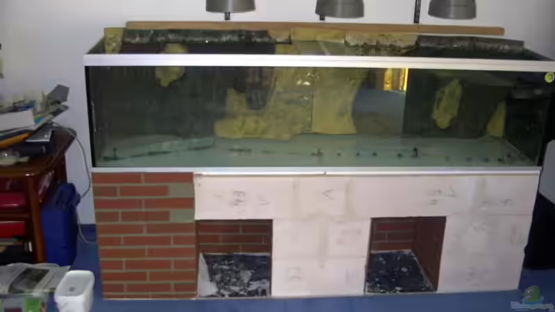 es wächst .... von Siegfried Wagner (3)