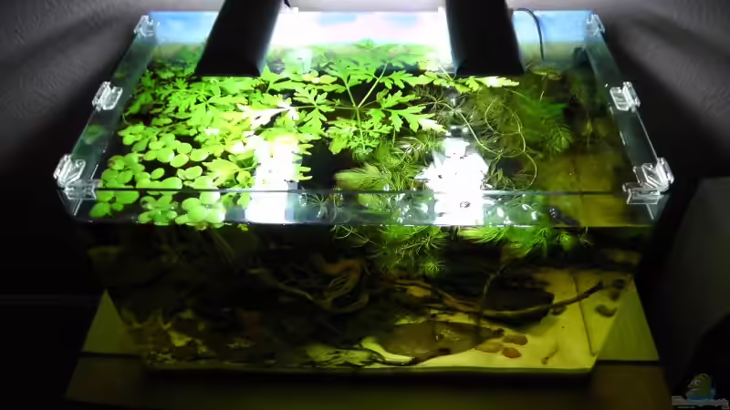 Es wächst :) von Martin Ihde (15)