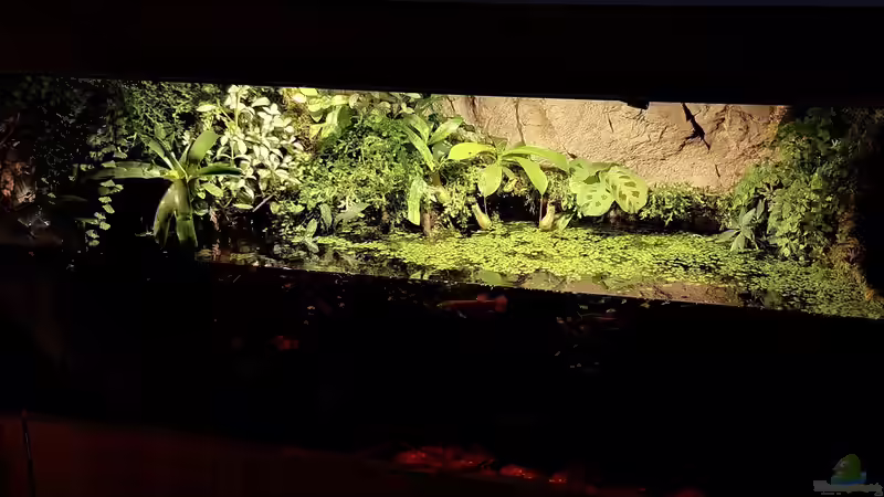 Es wächst so langsam von Jaenu00 (8)