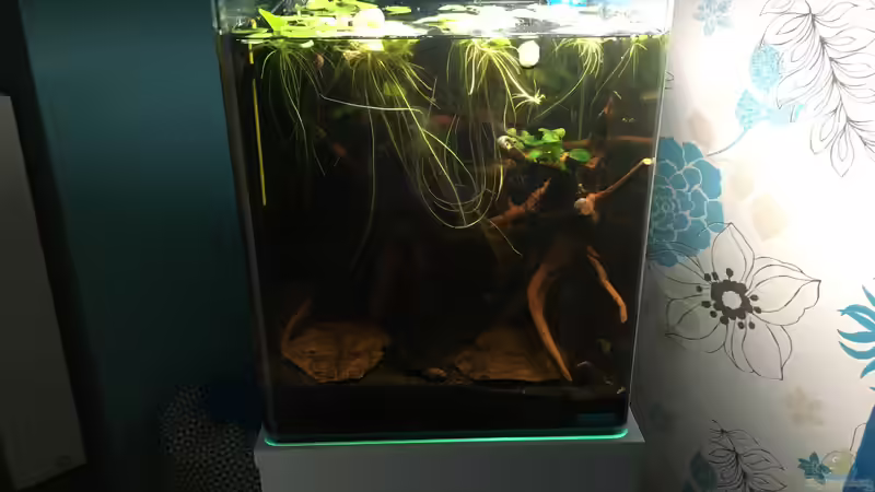 Es wächst zu :-) von Ottche (12)