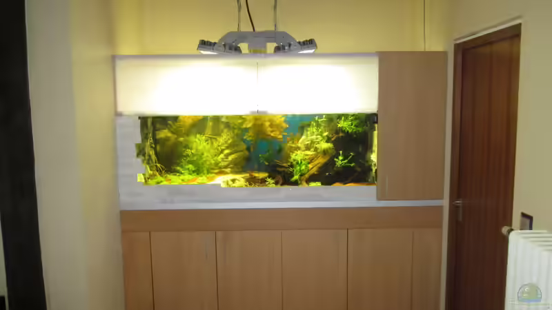 es war einmal..... eine Niesche von Christian Grunwald (7)