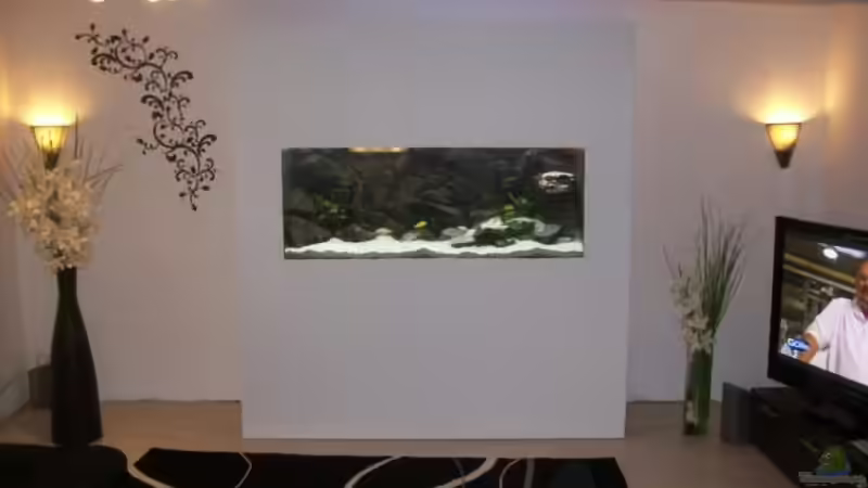 Es war einmal.... Projekt Altbau mit Malawisee-AQ von JanR (21)