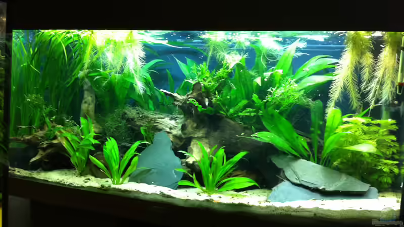 es war einmal ... von Danny (10)