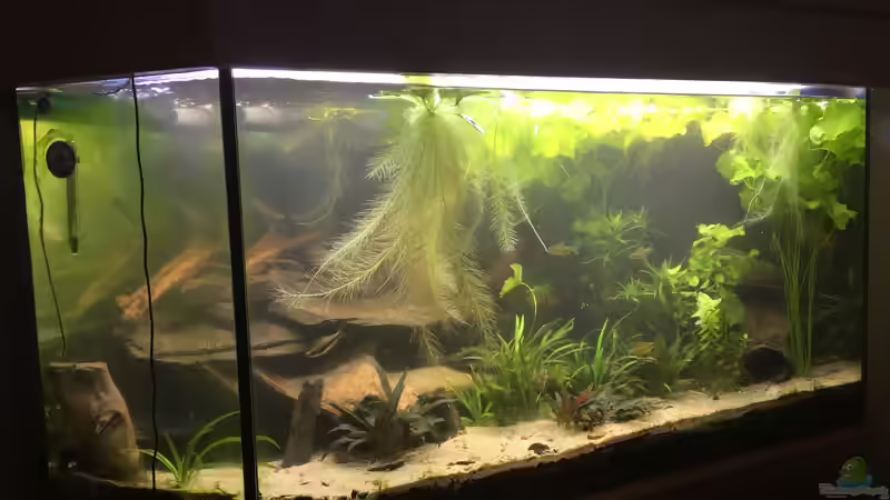 es war einmal ... von Danny (10)