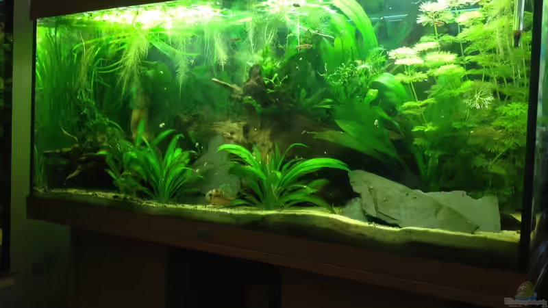 es war einmal ... von Danny (11)