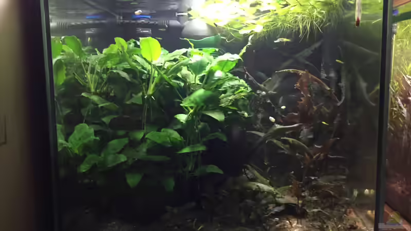 es war einmal ... von Danny (12)